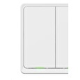 Tesla Smart Switch Dual Battery