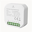 Tesla Smart Switch Module Dual