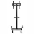 Nedis podlahový TV stojan/ 32 - 55"/ 35kg/ Design Premium Column/ Snap-lock/ ocel/ černý