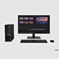 TC V35s SFF/Ryzen 3 3250U/256/8GB/HD/DVD/W11P
