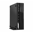 MSI Pro/DP21/SFF/i5-11400/8GB/256GB SSD/UHD 730/W11P/3R