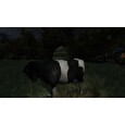 ESD The Cows Are Watching