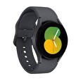 Samsung Galaxy Watch 5/40mm/Gray/Sport Band/Gray
