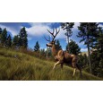 ESD Way of the Hunter