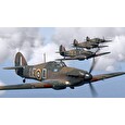 ESD IL-2 Sturmovik Dover Bundle
