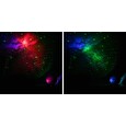 Sada Levenhuk LabZZ SP20 Astroplanetárium, bílá