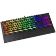 Endorfy herní klávesnice Omnis Pudd.Kailh RD RGB /USB/ red switch / drátová / mechanická / US layout / černá RGB