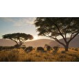 ESD theHunter Call of the Wild Vurhonga Savanna