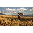 ESD theHunter Call of the Wild Cuatro Colinas Game