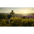 ESD theHunter Call of the Wild Cuatro Colinas Game