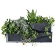 Květináč Prosperplast CASCADE GARDEN WALL sada 2 květináčů antracit