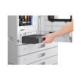 Epson Maintenance Box (AM-C4000/5000/6000)
