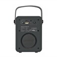 CARNEO F90 FM rádio, BT reproduktor, black/wood