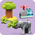Stavebnice Lego Divoká zvířata Afriky
