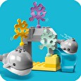 Stavebnice Lego Divoká zvířata oceánů
