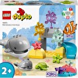 Stavebnice Lego Divoká zvířata oceánů