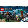 Stavebnice Lego Bradavice: Kočár a testrálové