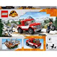 Stavebnice Lego Odchyt velociraptorů Blue a Bety