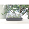 Sadbovač Prosperplast RESPANA TABLE GREENHOUSE šedý kámen 39,1 cm