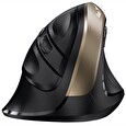 Genius Ergo 8250S Champagne Gold/ vertikální/ 1600 dpi/ bezdrátová/ 6tlačítek/ tichá/ černozlatá