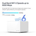 Halo H90X(2-pack) 6000Mbps Home Mesh Wifi6 system