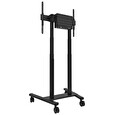 Neomounts FL55-875BL1/Držák displeje/vozík/37-100"/4 kolečka/VESA 800X600/nosn. 110kg/mot. nast.výšky/černý