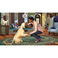 ESD The Sims 4 Psi a kočky