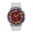 Samsung Galaxy Watch 6 Classic/43mm/Silver/Sport Band/Silver