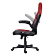 Trust GXT703R RIYE GAMING CHAIR RED