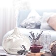 Aroma difuzér SIXTOL Palm bílé dřevo 500 ml