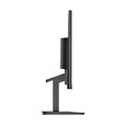 MSI Pro/MP2412/23,8"/VA/FHD/100Hz/1ms/Black/2R