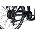 Elektrokolo Leader Fox HOLAND 17"-1, BLACK SHINY