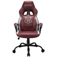 Harry Potter Gaming Seat Original