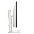 Dell 24 Monitor - S2425HS - 60.67 cm
