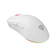 Genesis herní bezdrátová myš ZIRCON XIII/Herní/Optická/26 000 DPI/USB+BT/Bílá