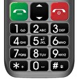 EVOLVEO EasyPhone ET, mobilní telefon pro seniory s nabíjecím stojánkem, stříbrná
