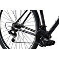 Horské jízdní kolo Capriolo LC 9.0 MTB 29"/21" šedo-černé 2024