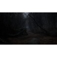 ESD Horror Story Hallowseed