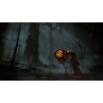 ESD Elden Ring Shadow of the Erdtree Edition