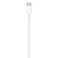 USB-C to Lightning Cable (2 m) / SK