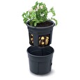 Květináč Prosperplast POTATO GROWER na pěstování brambor 39,2 cm antracit