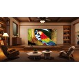 TCL 65C655 SMART TV 65" QLED/4K UHD/Direct LED/3xHDMI/1xUSB/LAN/GoogleTV