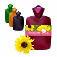 Termofor Hugo Frosch Classic Plant 1,8 l, transparentní, modrý