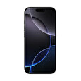 Apple iPhone 16 Pro/256GB/Black Titanium