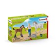 Hračka Schleich Návštěva lékaře u klisny a hříběte