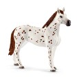 Set Schleich appalosští koně a tréninkové příslušenství