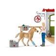 Hračka Schleich Veterinární ordinace pro domácí zvířata
