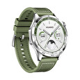 Huawei Watch GT 4/46mm/Silver/Elegant Band/Green