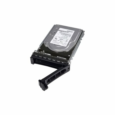 Dell - Pevný disk - 2 TB - hot-swap - 3.5" - SAS 12Gb/s - NL - 7200 ot/min. - pro PowerEdge C6525, R240, R340, R6515, R6525, R7415, R7425, R7515, R7525; Storage NX3240