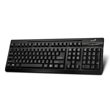 GENIUS klávesnice KB-125, USB, CZ+SK black (černá)